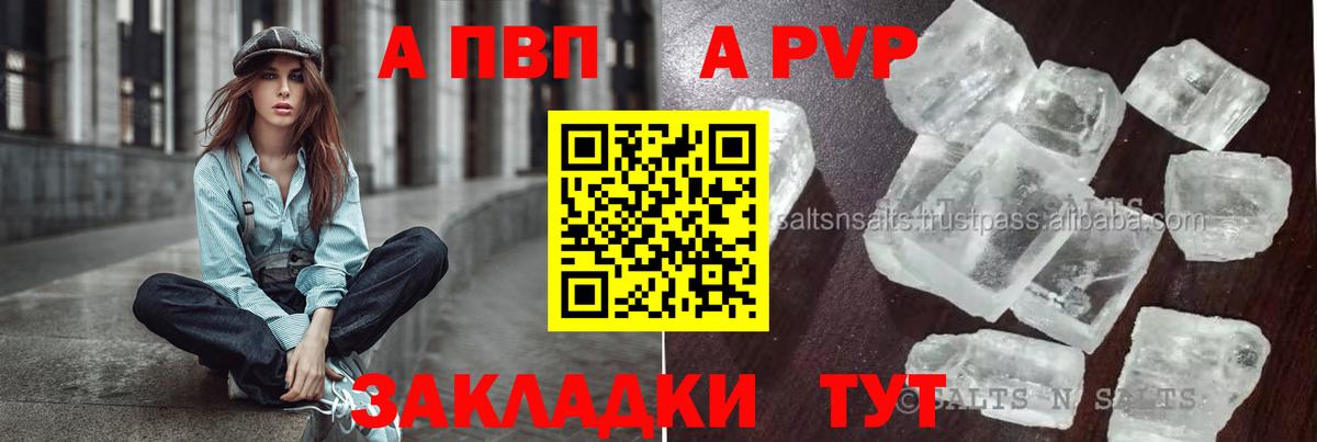 Alfa_PVP СК КРИС Малгобек