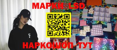 стаф Донецк