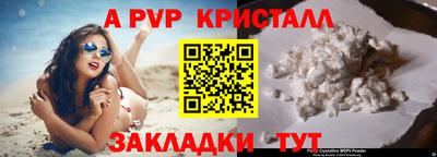 стаф Донецк