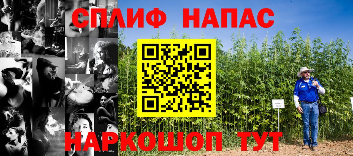 Конопля AK-47 Малгобек